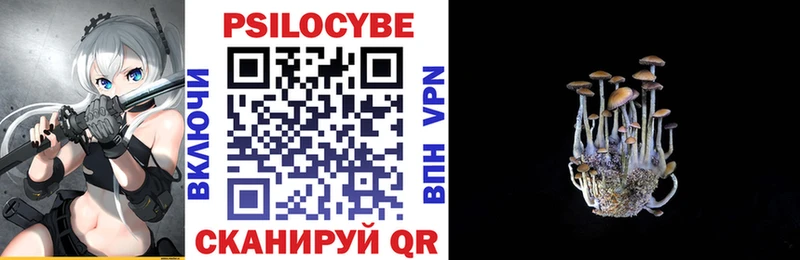 Псилоцибиновые грибы GOLDEN TEACHER нарко площадка официальный сайт Кирсанов